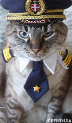 Pilot Shirt for Cats And Dogs - SMALL Captain Kitty / Dog from Cushzilla