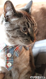 Plaid Hipster Kitty Shirt for Cats And Dogs from Cushzilla