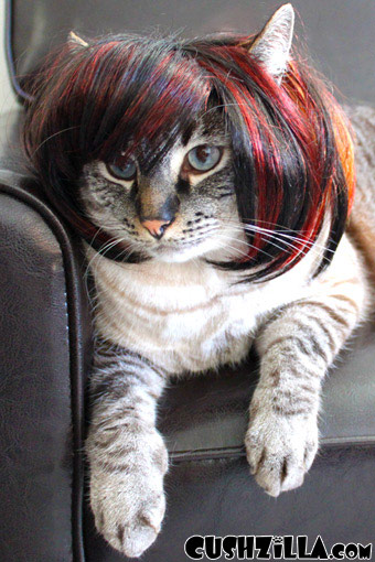 Cat Wig / Dog Wig : Cushzilla SHAAARON! Brunette Bowl Cut Wig