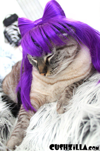 Cat Wig / Dog Wig: Cushzilla Lady Gaga Wig in Fancy Pants Purple