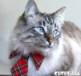Cat Necktie / Dog Necktie - Prep School Plaid Necktie from Cushzilla